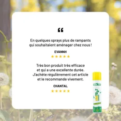 Laque anti-Fourmis, Puces & Gendarmes