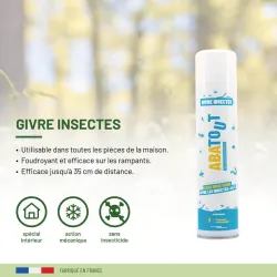 Givre Insectes
