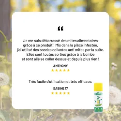 Laque anti-Mites alimentaires – Fogger