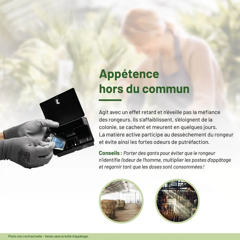 Anti-Rats & Souris Pâte fraîche