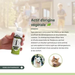 Véto shampoing anti-démangeaisons chiens chats naturel