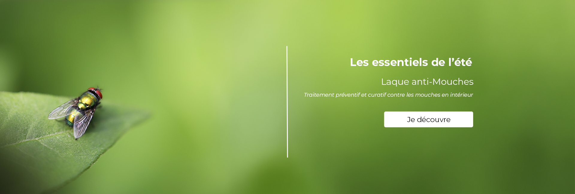 Découvrir notre offre