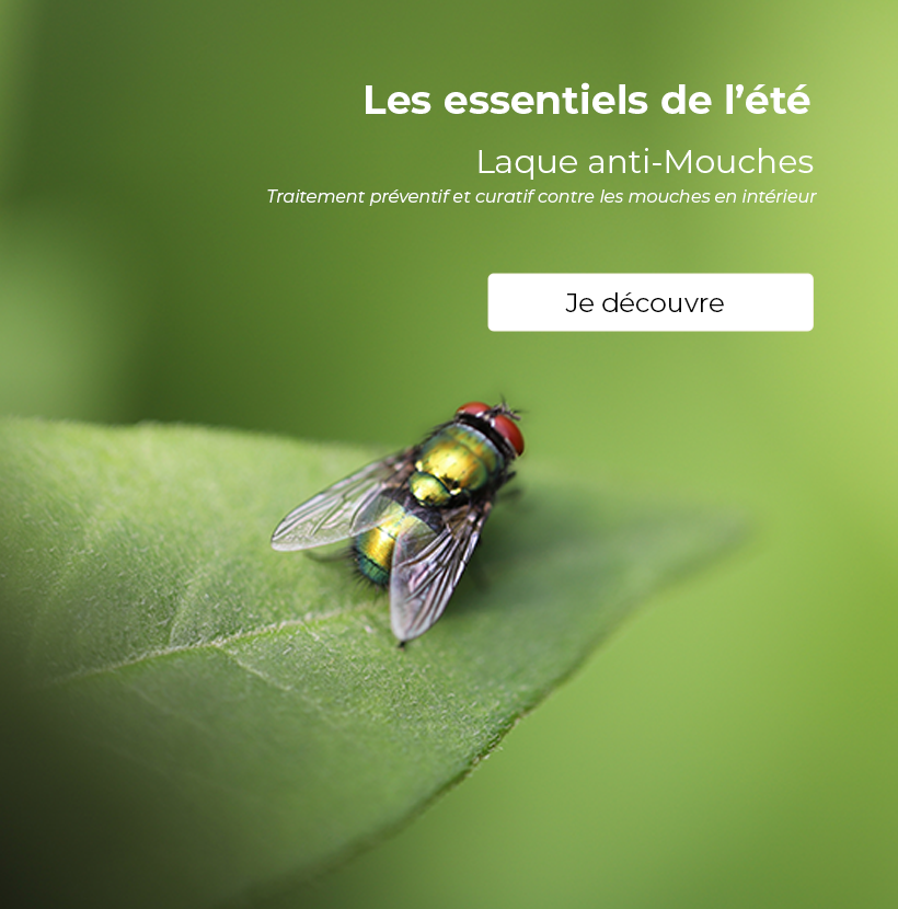 Découvrir notre offre