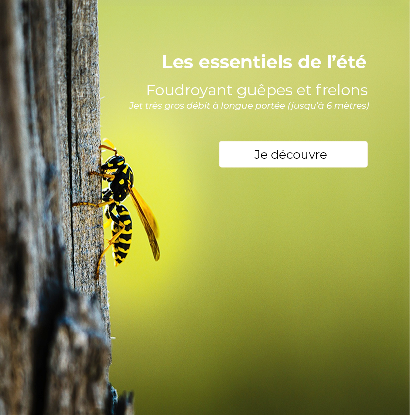 Découvrir notre offre