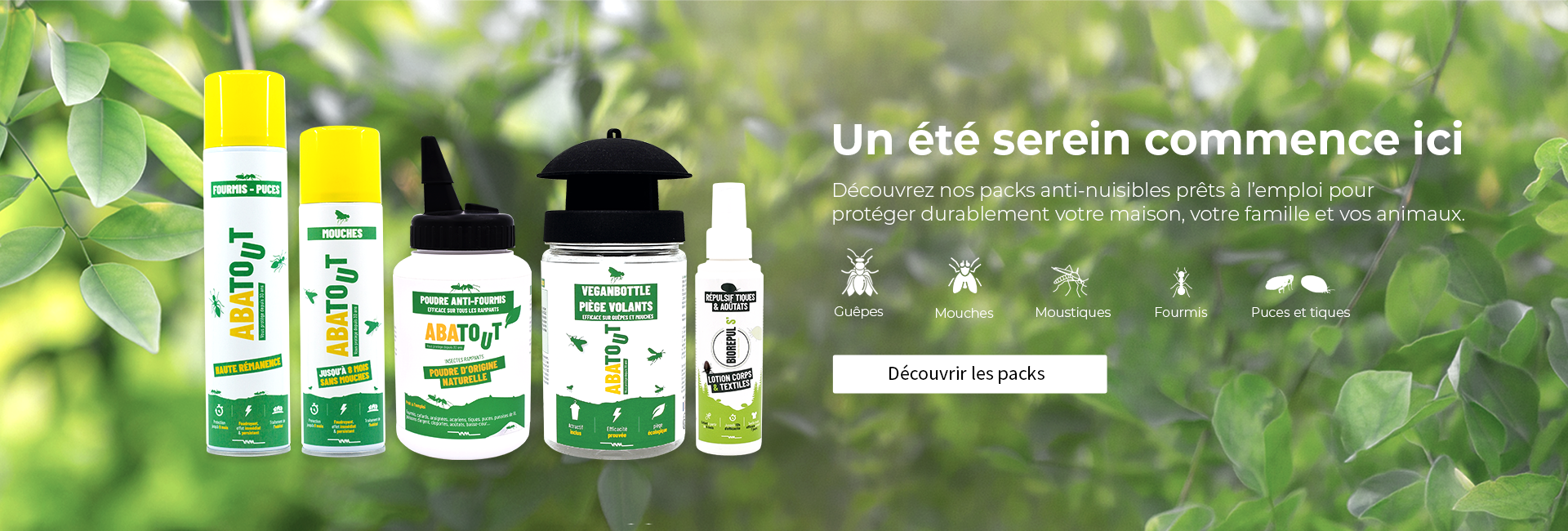 Découvrir notre offre