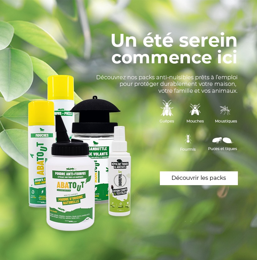 Découvrir notre offre