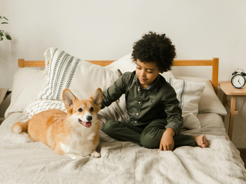 Traiter les puces et les poux